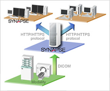 pic_02 Block Diagram of Synapse